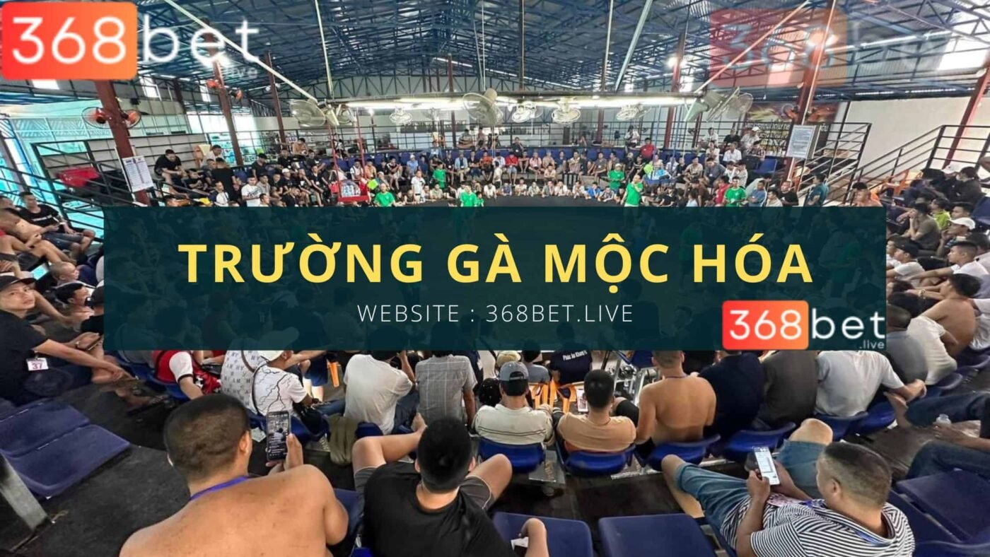 Đá Gà C1 Mộc Hóa GÀ CHỌI C1 Mộc Hóa TRỰC TIẾP