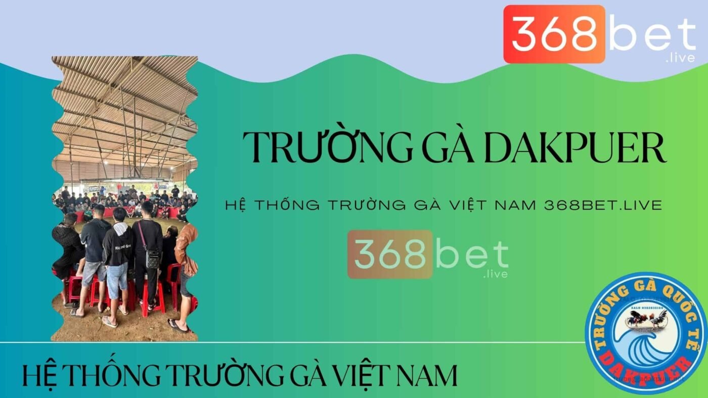 đá gà dakpuer hệ thống gà chọi việt nam