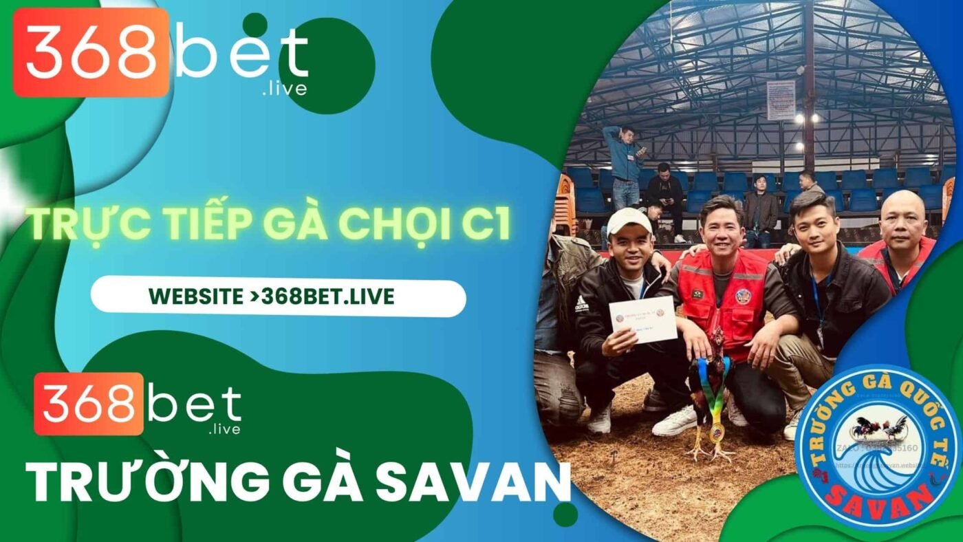 trực tiếp đá gà savan tại trường gà savan