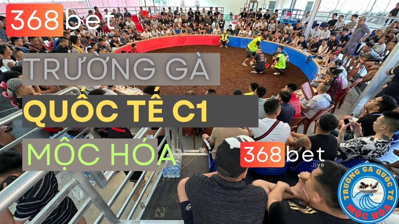 ĐÁ GÀ MỘC HÓA NGÀY 27/08